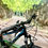 Thumbnail: BULLS Sharptail MTB 29"