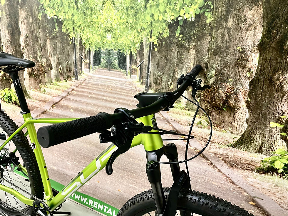 Thumbnail: Superior XP 939 MTB 29"