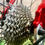 Thumbnail: ZANNATA Z29 MTB 29" NIEUW