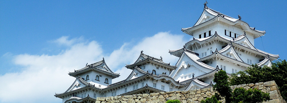 P1030544_edited.jpg