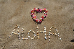 Aloha.jpg