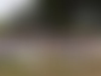 Reprise de l'activité Randonnée