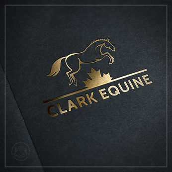 CLARK-Gold-Stamping-Logo-Mock-Up.jpeg