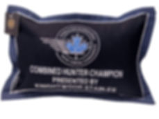 Horse Show Prize Pillows