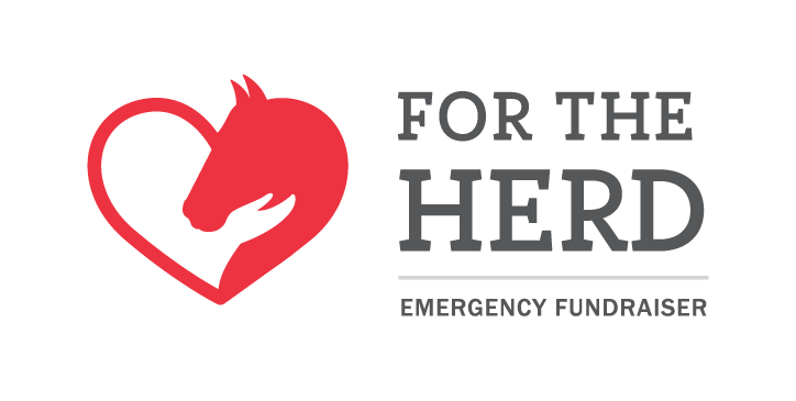 Thumbnail: "For the Herd" Emergency Fundraiser Dandy Brush