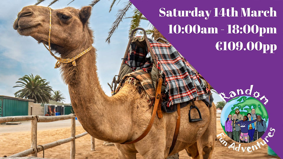 Fortnightly Tangier Adventure