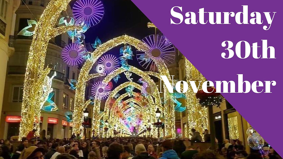 Malaga Christmas Lights