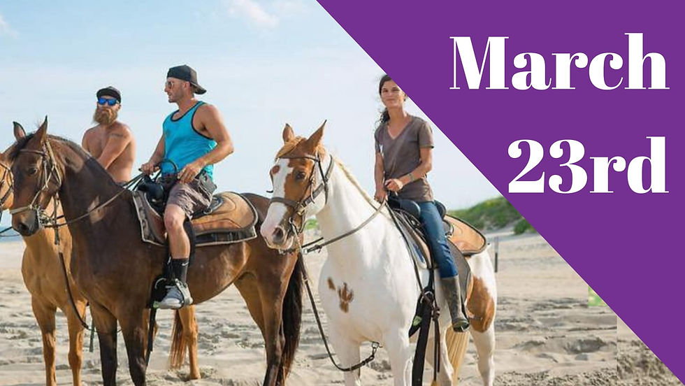 Horse Ride In Tarifa
