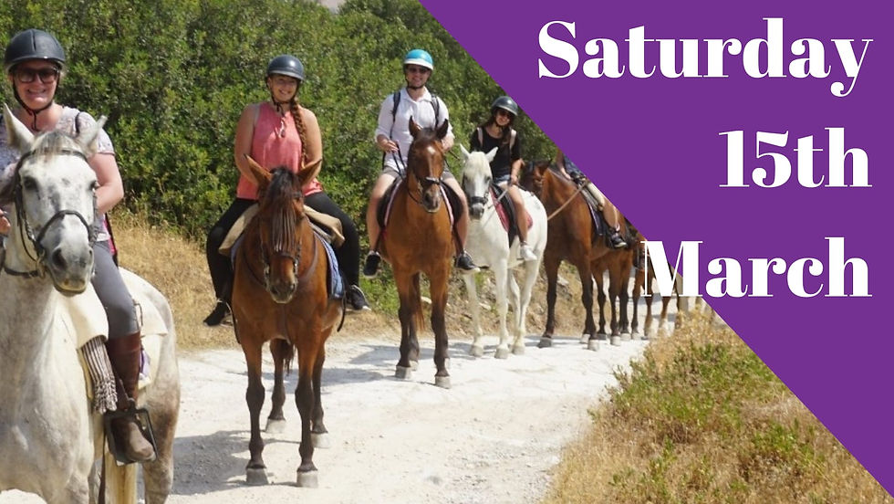Horse Riding In Casares