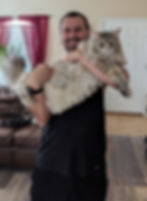 kittens for sale houston texas