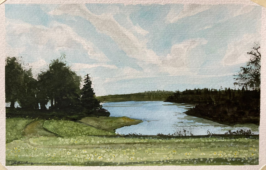 the north road, Maine, pine trees, shadows, inlet, watercolor painting