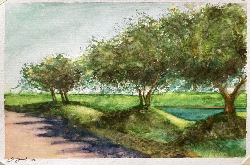 watercolor trees purple shadows live oaks