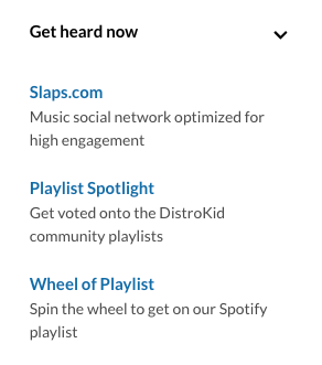 Different Options That DistroKid Helps You Get Heard