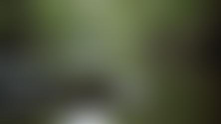 Franz Beard's Thoughts of the Day column header — Florida Gators commentary for May 9, 2026