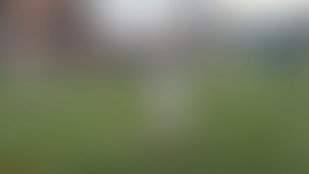 Video: Clips From Day 1 Spring Practice