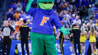 Albert Gator