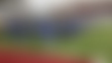 Pregame Report: Florida-South Carolina