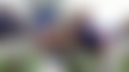 Spring Football Challenge: A Scavenger Hunt For Gator QB 