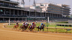 horses running