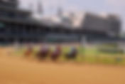 Gator Football: Meanwhile, Back at Churchill Downs…Pushing the Pause Button.