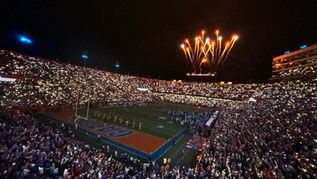 Why Gator Fans Keep Coming Back: It's For The Love Of The Game