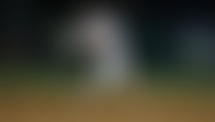 Struggling Gator Softballers Looking For A Late-Season Surge