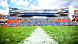 Buddy Martin Blog: 
Now is the Time For All Good Gators to Come to the Aid of Their School 