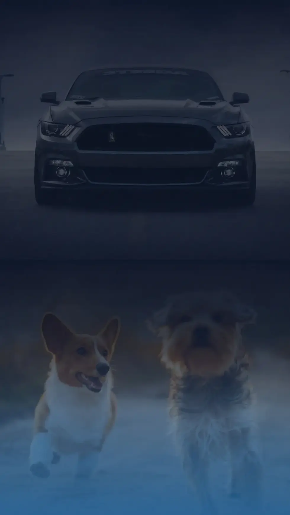 UBITracer app banner.webp