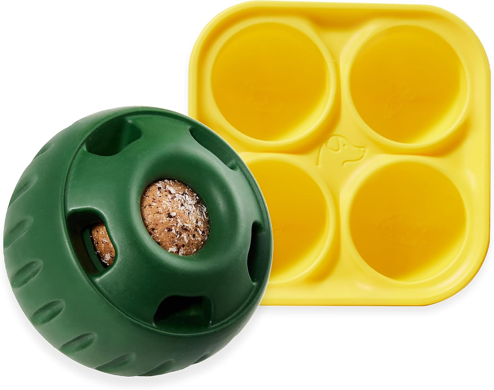 dog frozen treats recipe