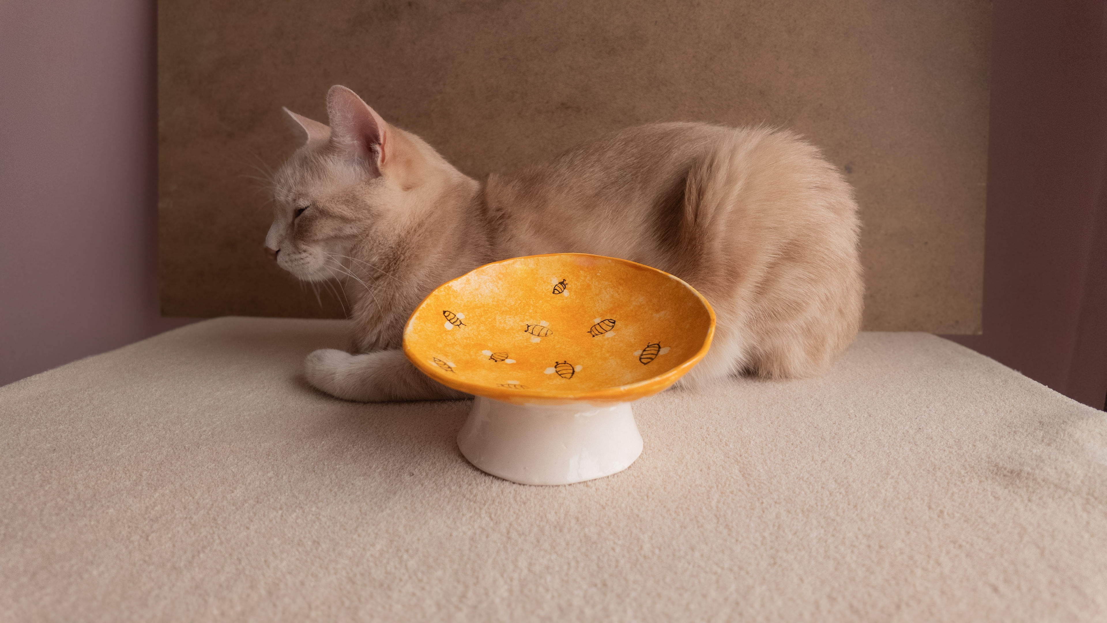 Eğimli yükseltilmiş whisker-friendly seramik kedi mama kabı — arı desenli, el yapımı. Kuimo Atölye ile konforlu beslenme.