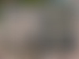 Are You Shitting Me!