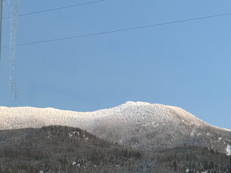 They Put Up a Good Fight