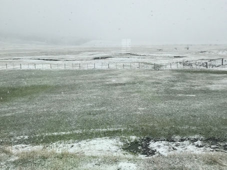 Good Thing We Did It Yesterday!