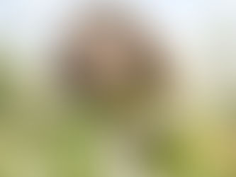 CHANGE IS IN THE AIR.