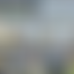 L’Ormarins King’s Plate