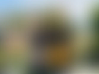 The Johannesburg Cap Classique & Champagne Festival is Back!