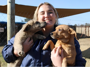 SPCA RandWest