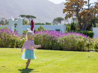 Make this Easter memorable with a picnic at Steenberg.