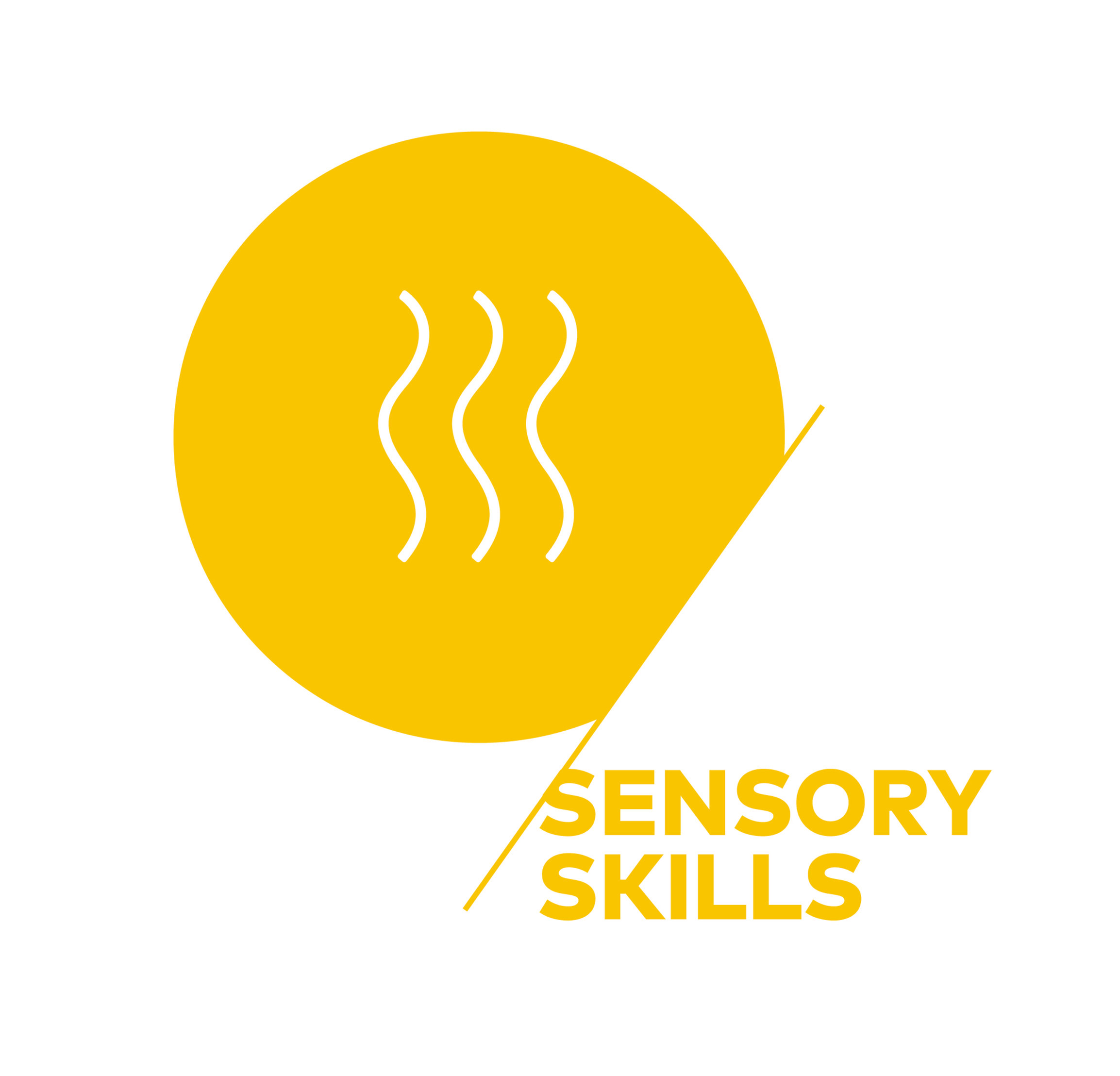 SCA SENSORY SKILLS INTERMEDIATE