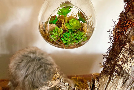 clear glass bottle with green leaves_edited.jpg