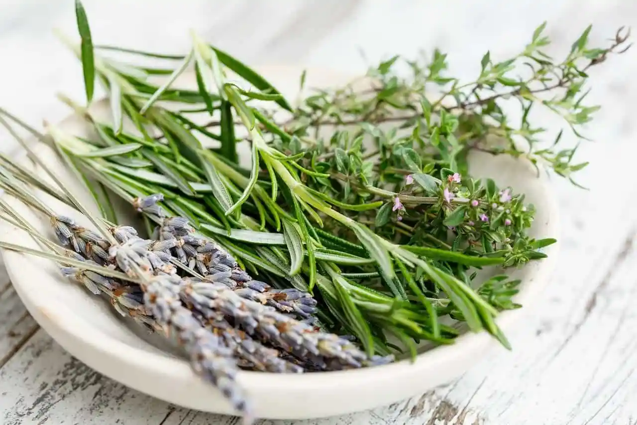 Recommended: Rose, Fresh Rain, Rosemary & Sage