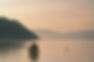 _DSC6020-1.jpg