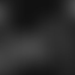 Lyrics as a Conduit: Where the Personal is the Political