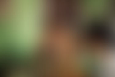 The Sound of Silence