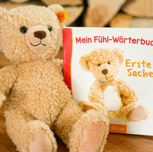 Mein Fühl-Wörterbuch - Erste Sachen