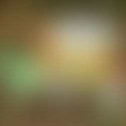 Wenn sieben kleine Gartenhasen zu Käfern und Radieschen rasen