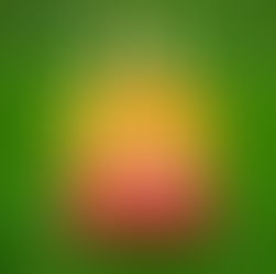 Hund, Katze, Maus ... Haus!