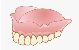 FireShot Capture 010 - 入れ歯 - いちやま歯科 - ichiyama-dent.com.png