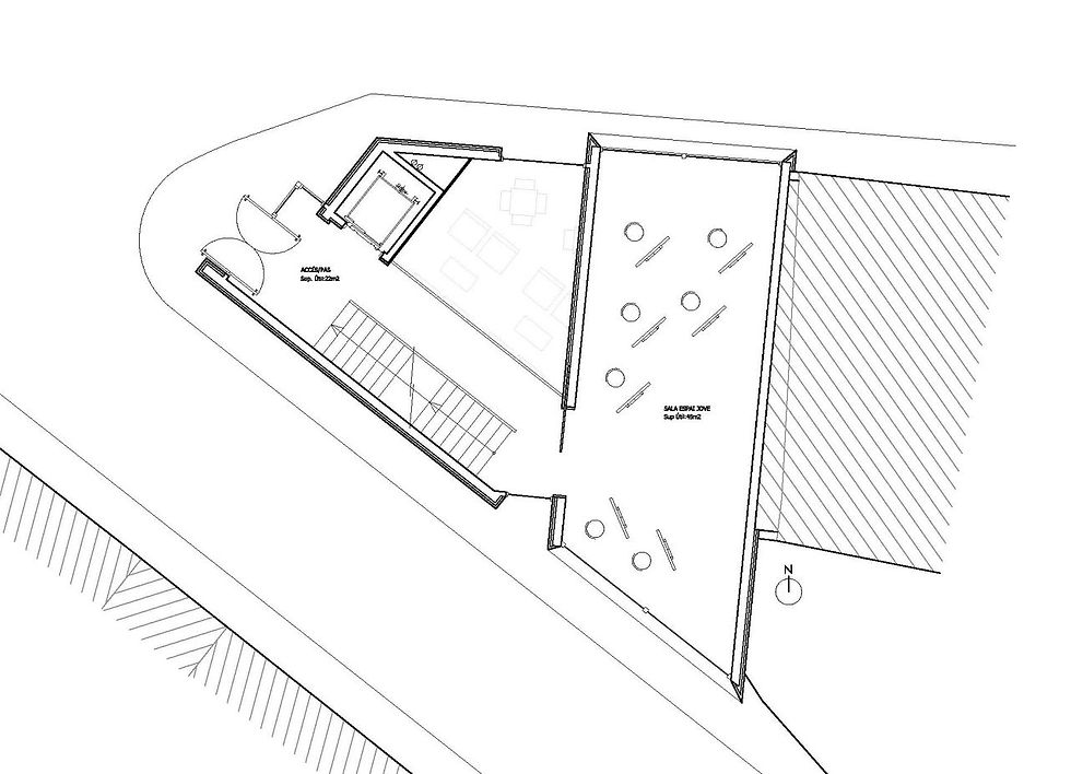P1.jpg