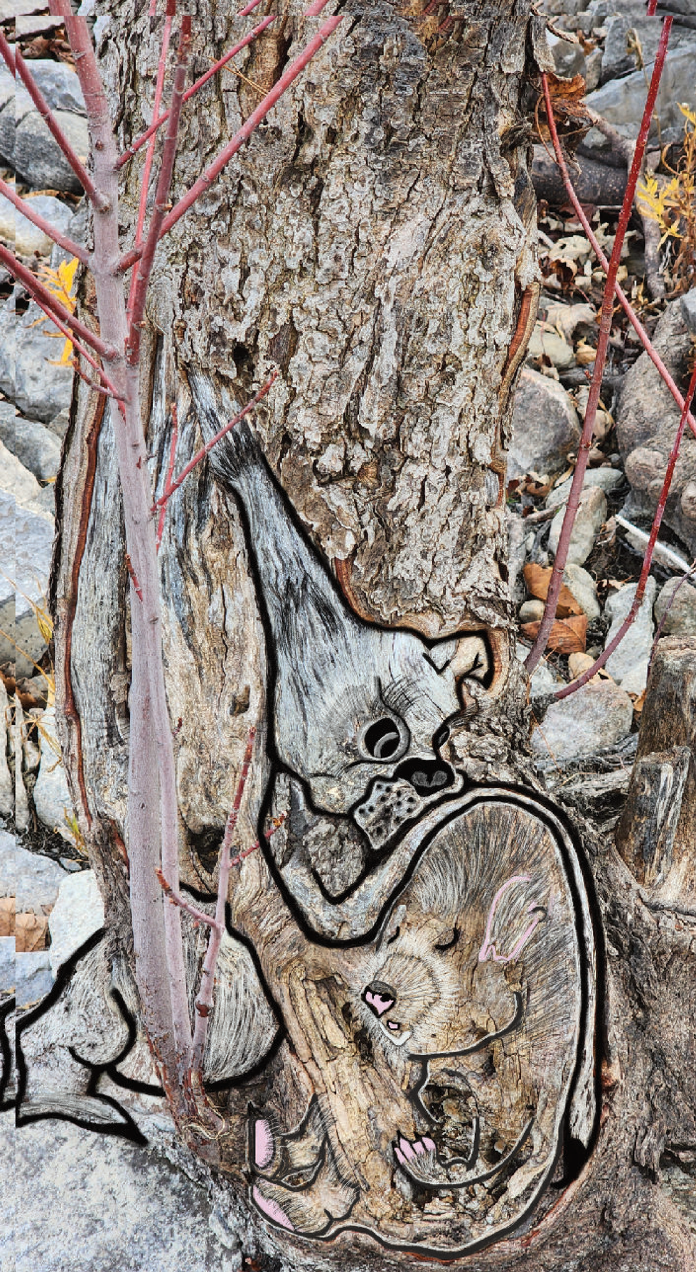 Art pic Bella Gizmo Feb. 4 2025 finished png 300 dpi cmyk